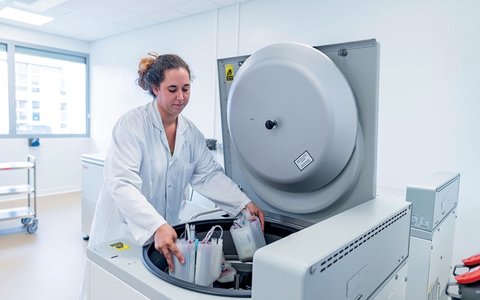 Les poches de sang sont d’abord filtrées pour être débarrassées de leurs globules blancs, puis passées en centrifugeuse pour dissocier les différents composants sanguins.