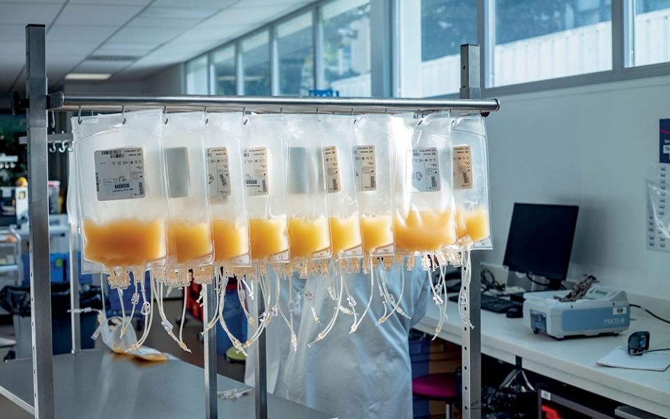 Une machine permet de séparer les globules rouges, les plaquettes et le plasma. Chacun dans une nouvelle poche, ils seront conservés à des températures et pour des durées différentes.