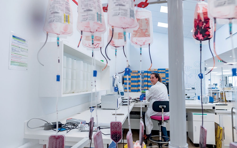 Le service de préparation des produits sanguins de Rennes traite chaque jour de 500 à 600 poches de sang collectées dans toute la Bretagne. Trente personnes s’y relaient six jours par semaine, de 7 heures à 20 h 30.
