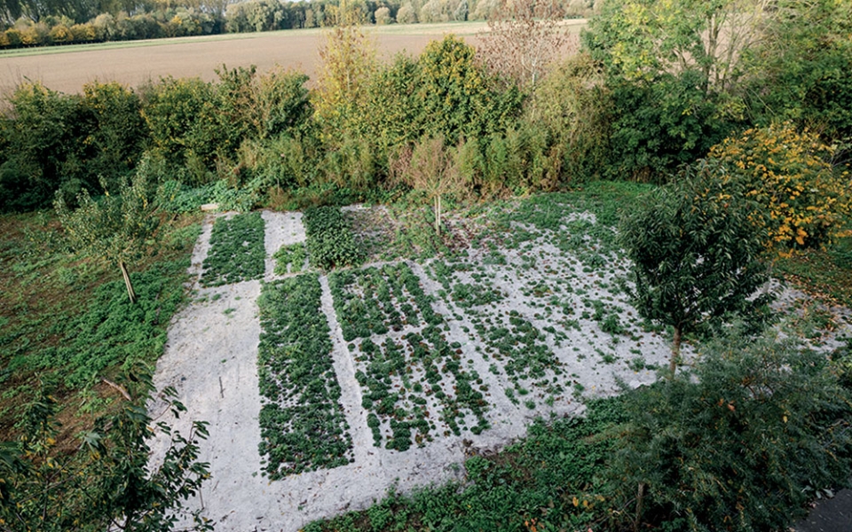 Expérimentation de dépollution des sols contaminés par des métaux lourds (lors de précédentes activités) par des plantes « hyperaccumulatrices ». Cette technique de l’agromine (procédé de culture) permet en outre de récolter et recycler des terres rares.
