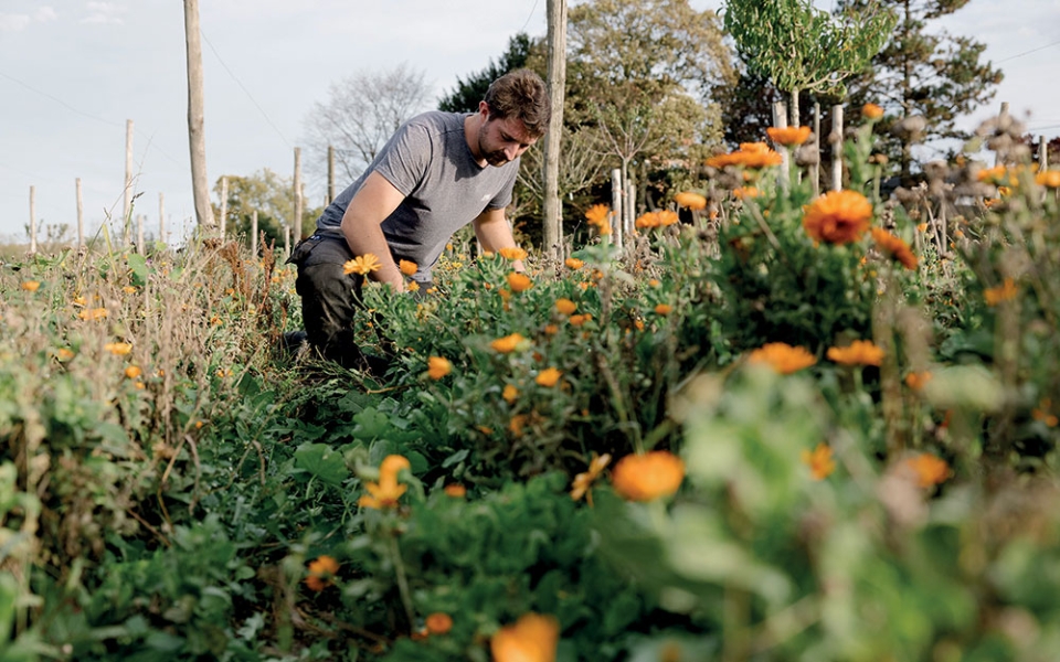Zone de permaculture. Quatre salariés et un apprenti s’occupent de cette parcelle de 1,3 hectare qui produit légumes, fruits et fleurs comestibles. Cet espace sert aussi de lieu de formation, y compris pour des salariés de Pocheco qui souhaitent préparer une reconversion.