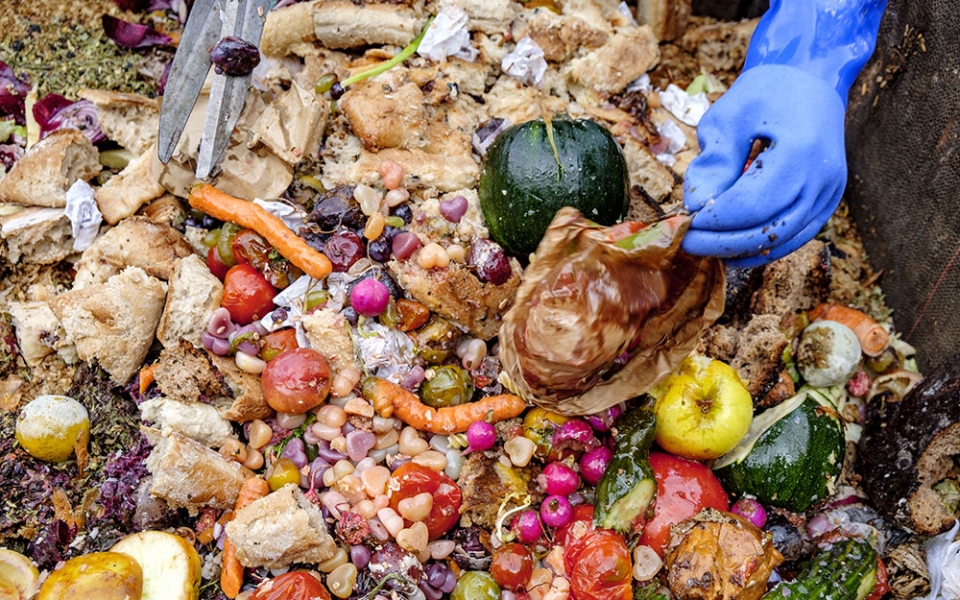 La fabrication et la gestion du compost sont très normées. Les trois fondatrices ont d’ailleurs suivi la formation de maître-composteur. Ce titre leur permet en outre de pouvoir dispenser des formations ou proposer des ateliers de sensibilisation – l’une des trois sources de revenus de l’association, avec la collecte et la vente du compost à des maraîchers locaux.