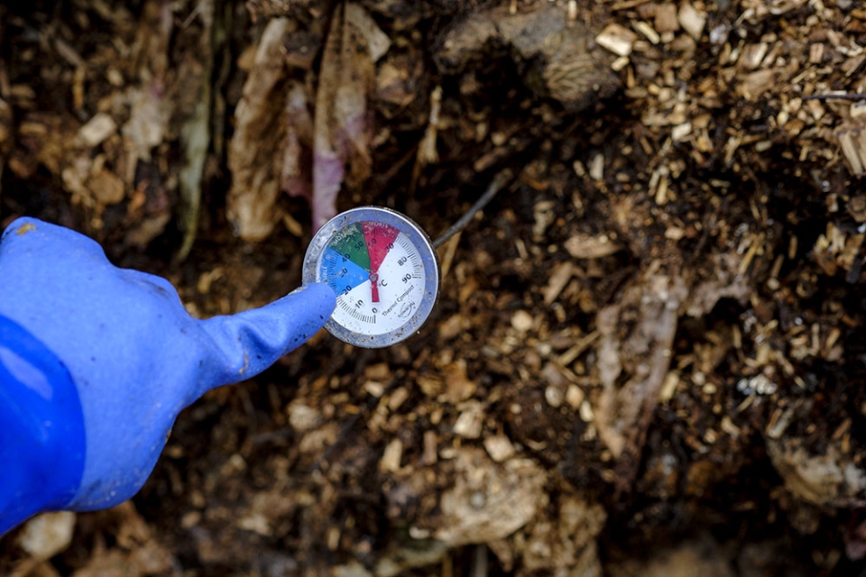 Au moment de la fermentation, la température s’élève ! Pour être sûr que toute bactérie ou tout germe pathogène a été éliminé (phase d’hygiénisation), le compost doit monter à 70 °C pendant au moins une heure. Le process est très régulièrement contrôlé.