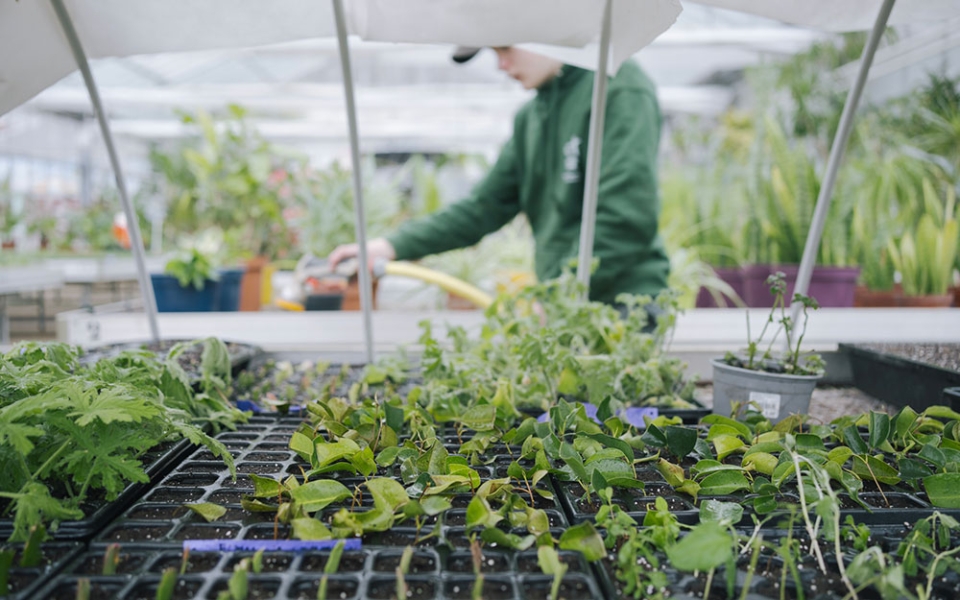 Les serres du domaine permettent de proposer une formation de production horticole. En ce mois de février, l’heure est aux semis.