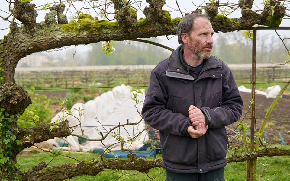 David Provost, jardinier responsable des cultures maraîchères, assure également de passionnantes visites du Potager du roi.