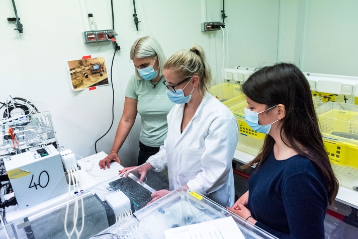 Coline Caillon (photo 9 à dr.), doctorante, et ses collègues analysent les naissains.