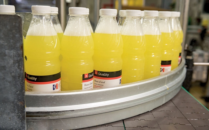 L’atelier de conditionnement, ici, en bouteilles.