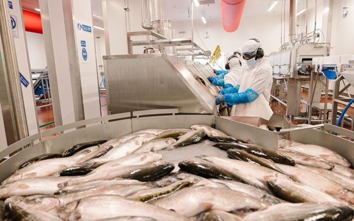 Né il y a plus de quarante ans dans les Landes, le groupe Aqualande s’est rapidement imposé comme leader européen de l’aquaculture.