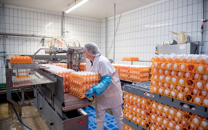 Usine Liot d’Annezin. La casserie est considéré comme le poste le plus difficile de l’usine : ports de charges lourdes, gestes répétitifs, le tout dans le bruit assourdissant des machines (les opérateurs portent systématiquement des bouchons d’oreilles), l’humidité et le froid