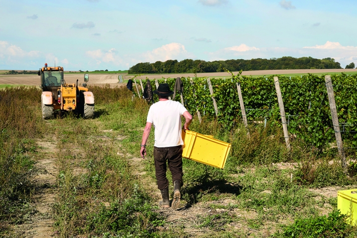 Un baromètre de santé climatique pour l’agriculture