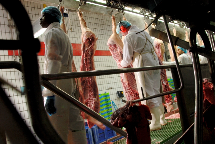 À Lamballe, la cadence de découpe est d’une carcasse toutes les 5 à 10 secondes.