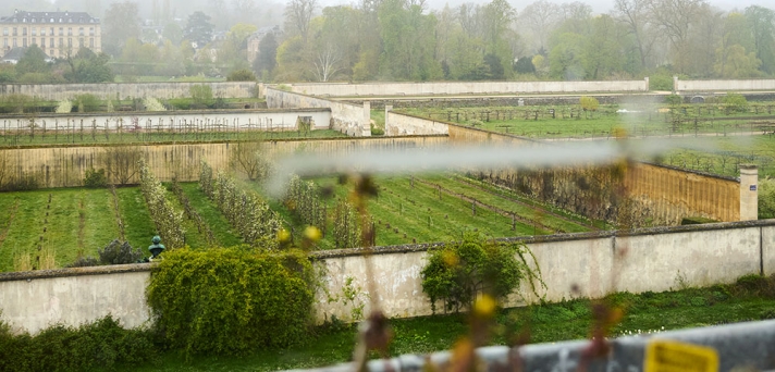 Ecole nationale supérieure de paysage de Versailles : Voie royale ...