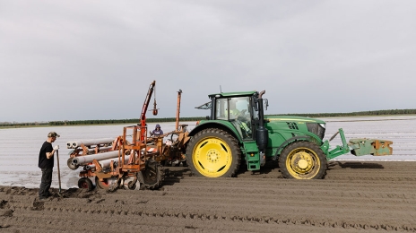 Légum’Land emploie 140 salariés à Ychoux (Landes/Nouvelle-Aquitaine) pour produire, laver et empaqueter des carottes toute l’année. En 2000, l’entreprise a été rachetée par le groupe coopératif Agrial (22 000 salariés dans onze pays). Ici, paillage plastique dans les champs après le semis des graines.