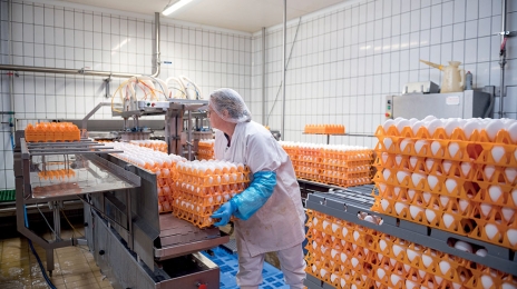 Usine Liot d’Annezin. La casserie est considéré comme le poste le plus difficile de l’usine : ports de charges lourdes, gestes répétitifs, le tout dans le bruit assourdissant des machines (les opérateurs portent systématiquement des bouchons d’oreilles), l’humidité et le froid