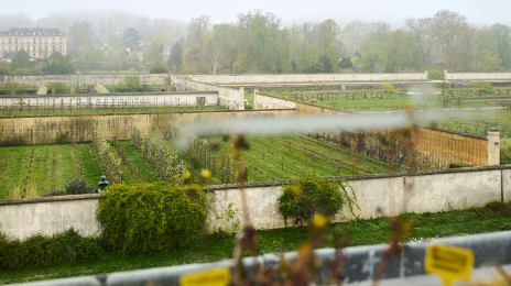 Le Potager du roi a été construit entre 1678 et 1683, à la demande de Louis XIV, pour nourrir la table royale. Ce « Jardin remarquable » de 9 hectares (classé au titre des Monuments historiques et inscrit au patrimoine mondial de l’Unesco) représente à la fois un lieu patrimonial (qui se visite) et un formidable espace de pratique et de recherche : nouvelles variétés maraîchères ou fruitières, nouvelles techniques de production, agroécologie, etc. Ici, les cultures sont intégralement en bio et sans traitements.