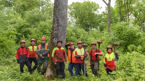 Equipe de l'Office national des forêts Grand Est.