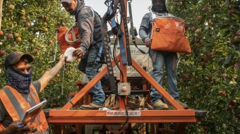 Un ouvrier agricole reçoit un masque N95 pour lutter contre la mauvaise qualité de l'air causée par les incendies de forêt.